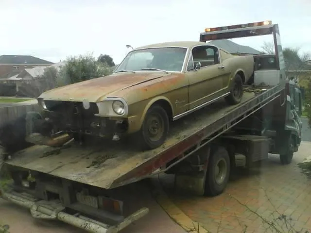 Ford Mustang Coupe image 12
